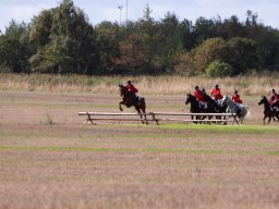 IMG_8495_web